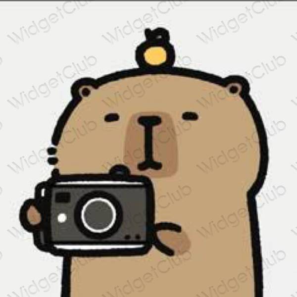 Aesthetic orange Camera app icons