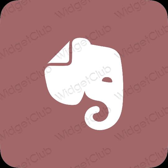 Aesthetic Evernote app icons