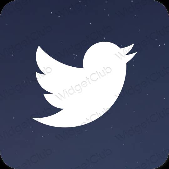 Icônes d'application Twitter esthétiques