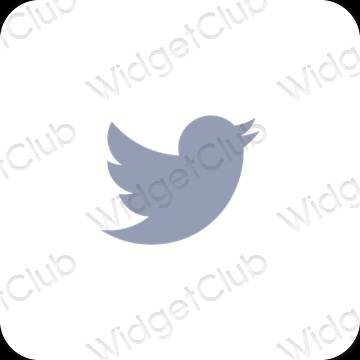 Icônes d'application Twitter esthétiques