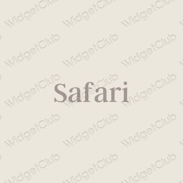 美學Safari 應用程序圖標