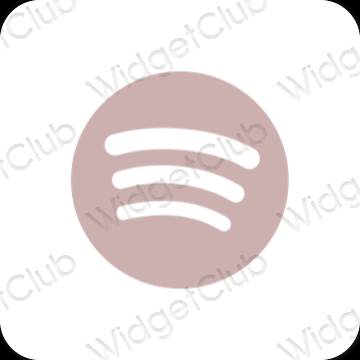 Icônes d'application Spotify esthétiques