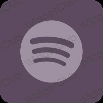 Esthetische Spotify app-pictogrammen