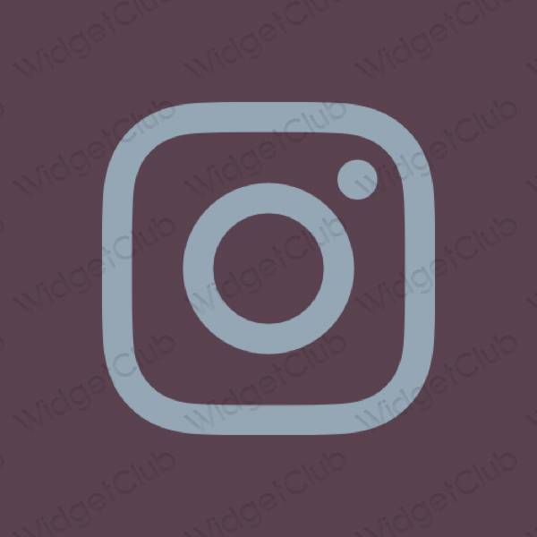 រូបតំណាងកម្មវិធី Instagram សោភ័ណភាព
