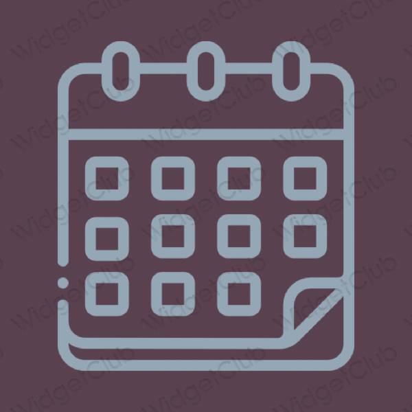 Biểu tượng ứng dụng Calendar thẩm mỹ