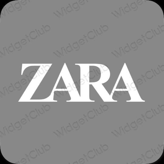 រូបតំណាងកម្មវិធី ZARA សោភ័ណភាព