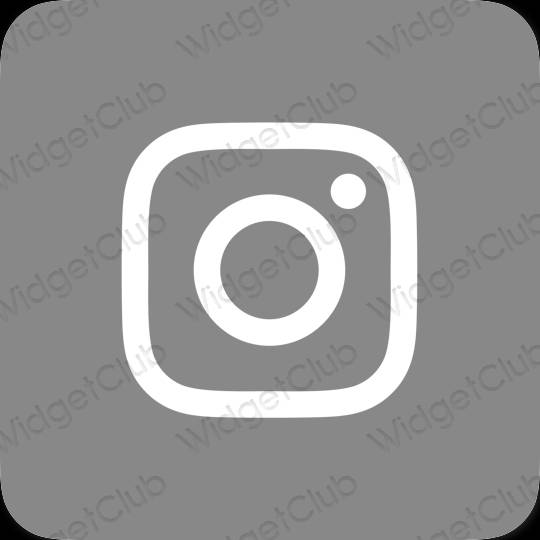 نمادهای برنامه زیباشناسی Instagram