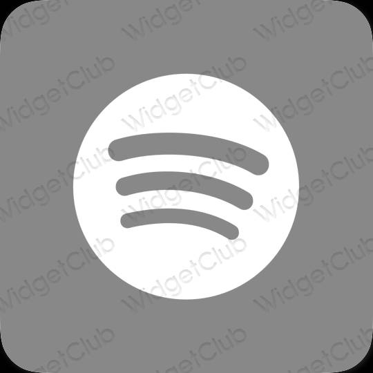Aesthetic Spotify app icons