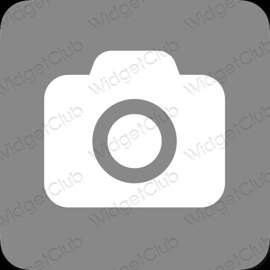 រូបតំណាងកម្មវិធី Camera សោភ័ណភាព