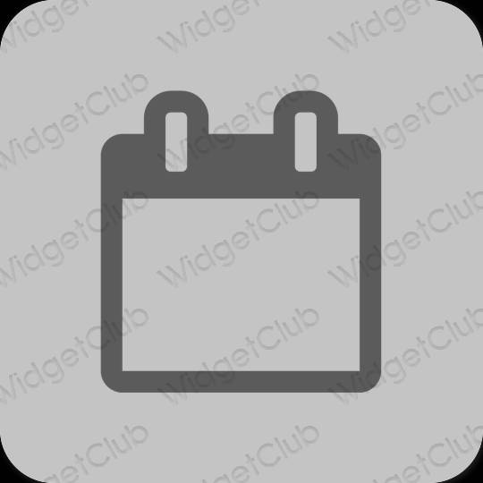 Естетичен сиво Calendar икони на приложения