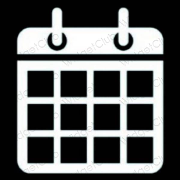 Icônes d'application Calendar esthétiques