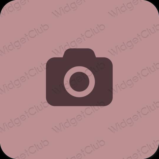 Aesthetic Camera app icons