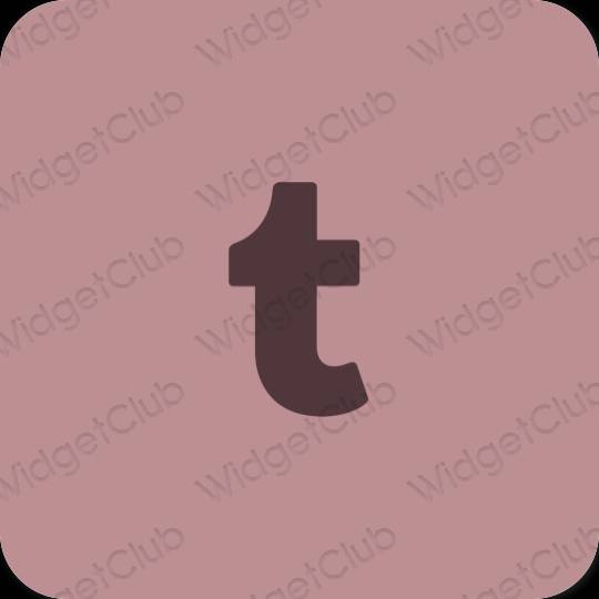 Estética Tumblr iconos de aplicaciones