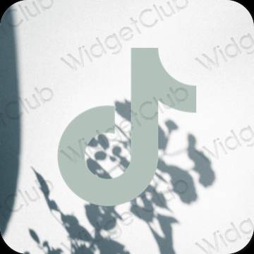 미적인 초록 TikTok 앱 아이콘