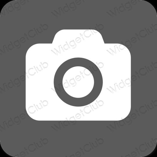 Esthétique grise Camera icônes d'application