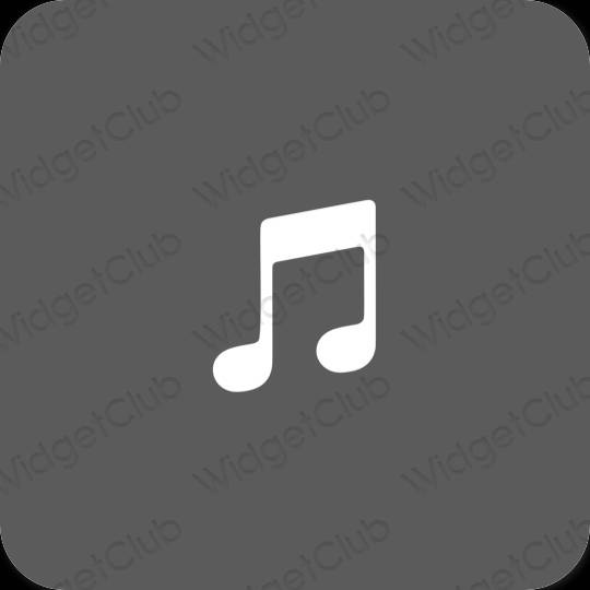 Estetsko siva Music ikone aplikacij
