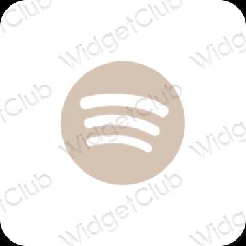 Esthetische Spotify app-pictogrammen