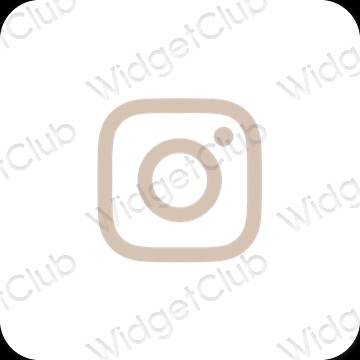 រូបតំណាងកម្មវិធី Instagram សោភ័ណភាព