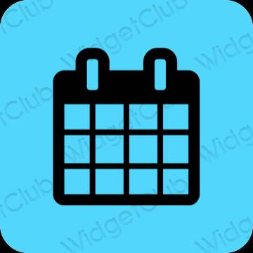 Thẩm mỹ màu xanh da trời Calendar biểu tượng ứng dụng