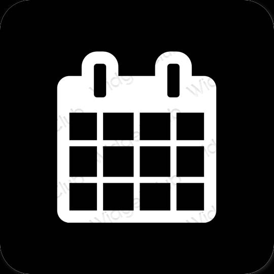 نمادهای برنامه زیباشناسی Calendar