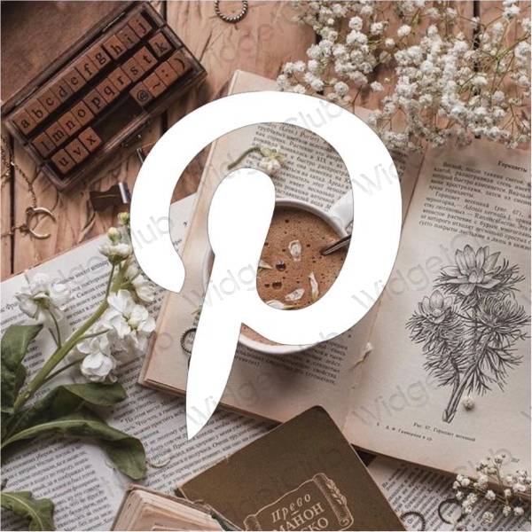 Esthetische Pinterest app-pictogrammen