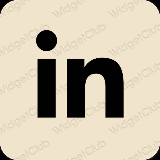 Esthétique beige Linkedin icônes d'application