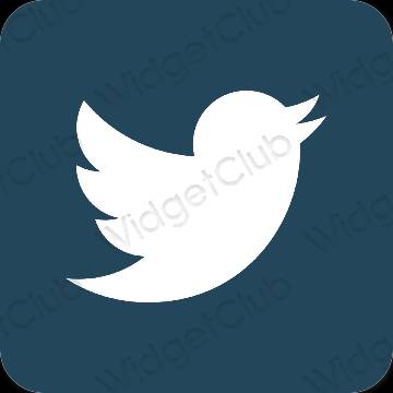 Estetske Twitter ikone aplikacija