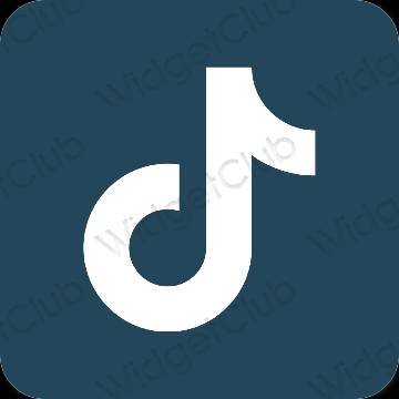 نمادهای برنامه زیباشناسی TikTok