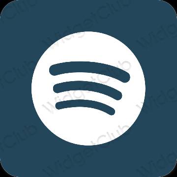 Esthetische Spotify app-pictogrammen