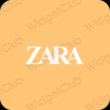 Estetski smeđa ZARA ikone aplikacija