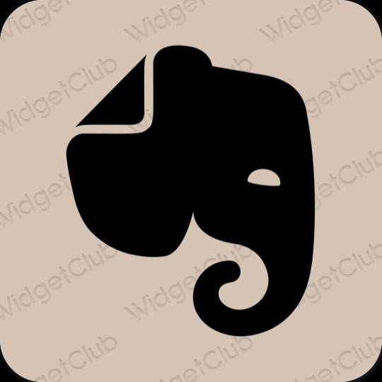 Estetické ikony aplikací Evernote