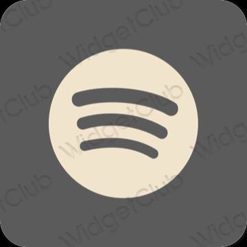 Aesthetic gray Spotify app icons