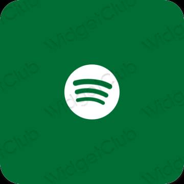 Estética Spotify iconos de aplicaciones