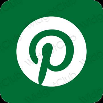 نمادهای برنامه زیباشناسی Pinterest