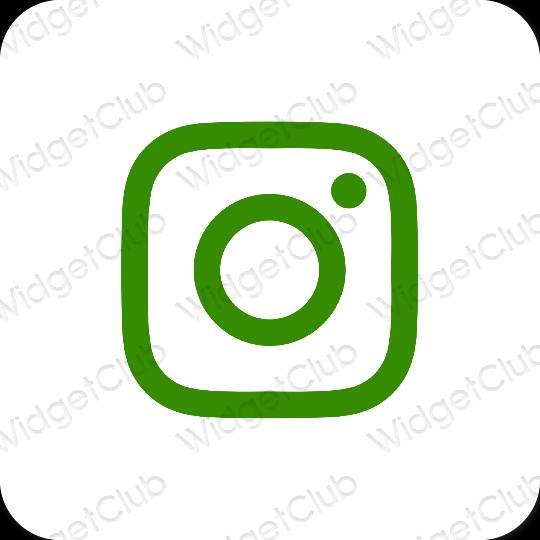 Esthetische Instagram app-pictogrammen