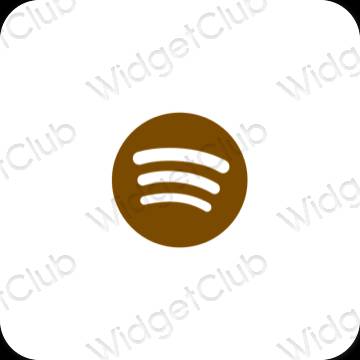 Esthetische Spotify app-pictogrammen