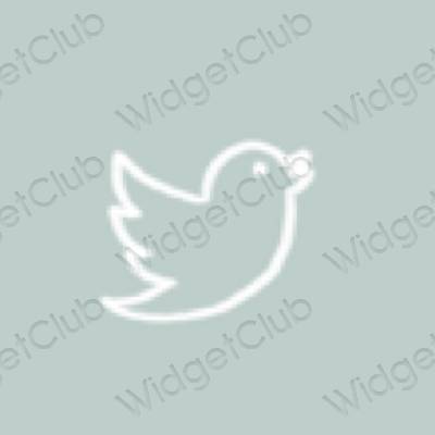 Estetyka Zielony Twitter ikony aplikacji