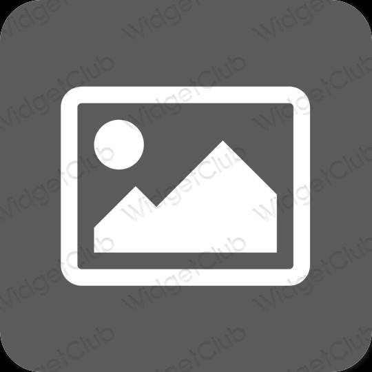Estetisk grå Photos app ikoner