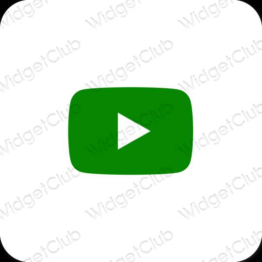 نمادهای برنامه زیباشناسی Youtube