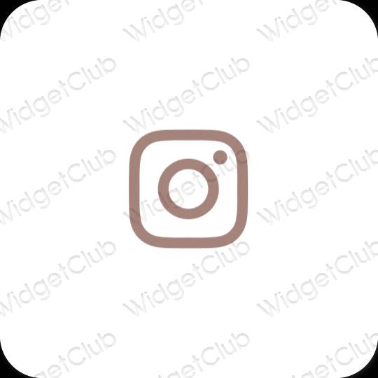 រូបតំណាងកម្មវិធី Instagram សោភ័ណភាព