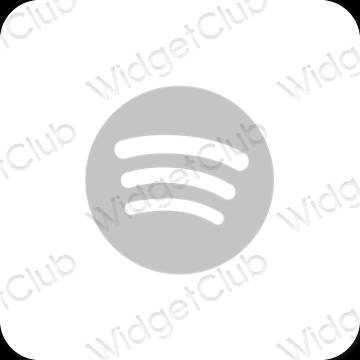 រូបតំណាងកម្មវិធី Spotify សោភ័ណភាព