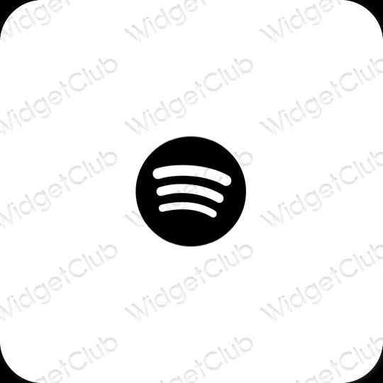 Esthetische Spotify app-pictogrammen