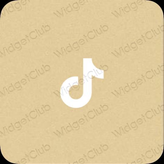 審美的 黃色的 TikTok 應用程序圖標