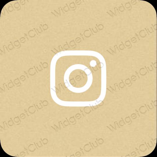 Thẩm mỹ màu vàng Instagram biểu tượng ứng dụng