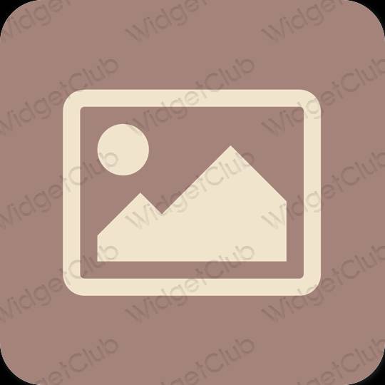 Aesthetic brown Photos app icons