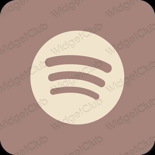 Icônes d'application Spotify esthétiques