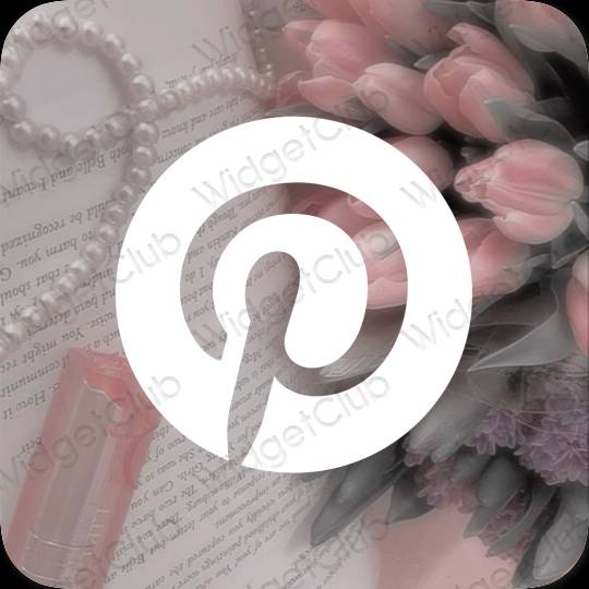 نمادهای برنامه زیباشناسی Pinterest