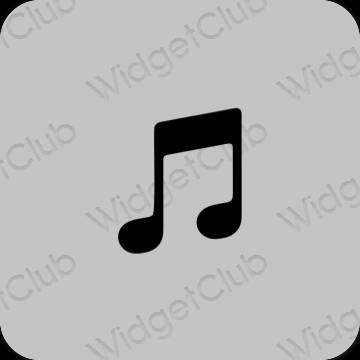 جمالي اللون الرمادي Apple Music أيقونات التطبيق