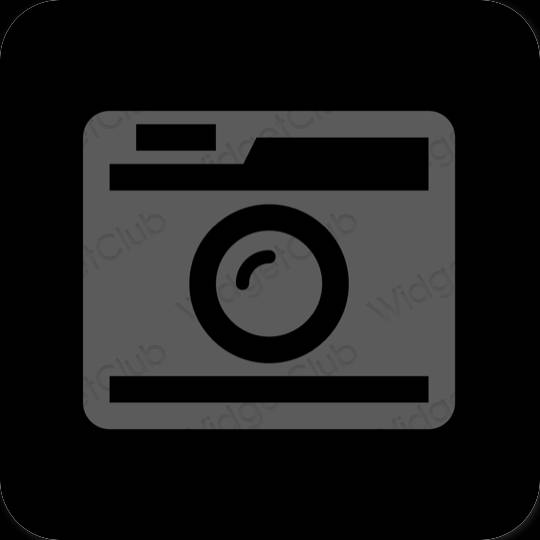 Естетичний сірий Camera значки програм