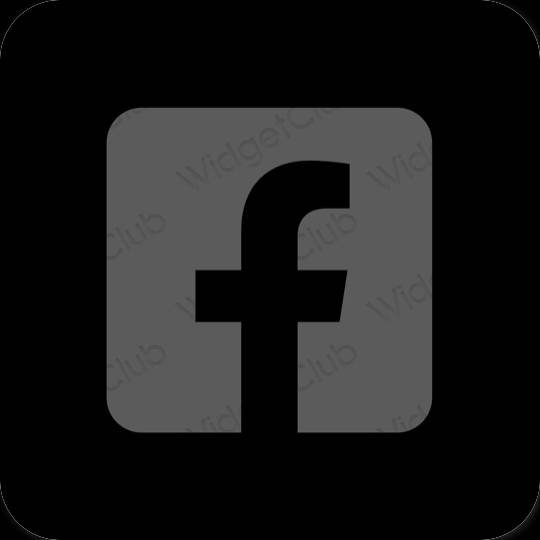រូបតំណាងកម្មវិធី Facebook សោភ័ណភាព